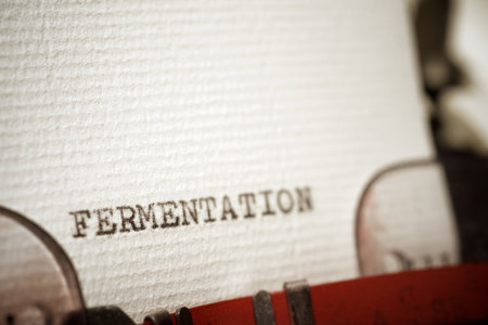 Fermentation word written with a typewriter.の写真素材