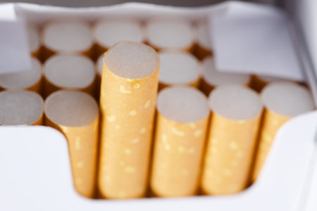 Close-up of cigarettes in a full packの写真素材