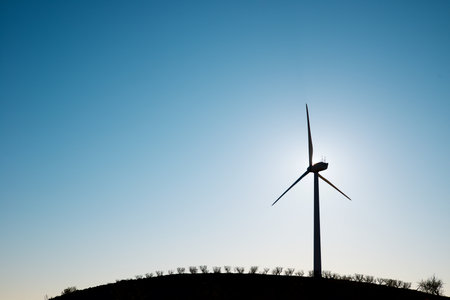Wind turbine generator for clean electrical energy production