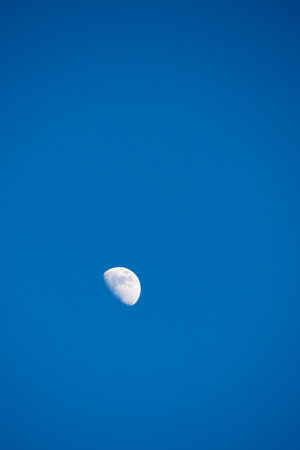 crescent moon and cloudless skyの写真素材