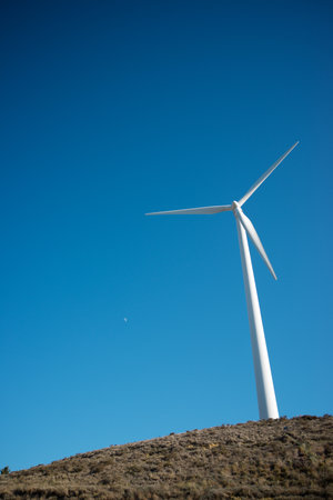 Wind turbines generator for sustainable electrical energy production