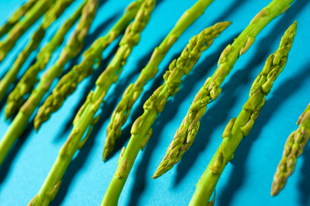 Green asparagus lined up on a blue tableの写真素材