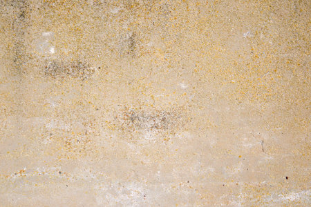 Texture of an old and weathered wall.の写真素材