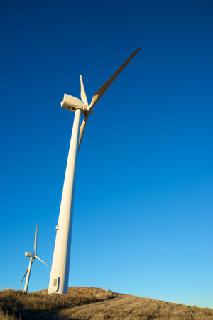 Wind turbine generators for sustainable electrical energy productionの写真素材