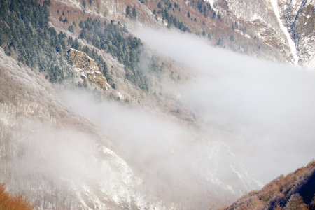 Snowy winter forest in the Pyrenees at Aquitaine in Franceの写真素材