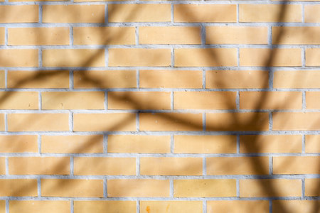 Texture and shadow of a new brick wallの写真素材