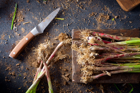 Preparation of a bunch of freshly harvested garlic shoots on a wooden boxの写真素材