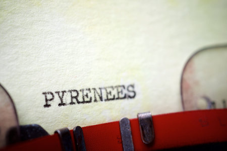 Pyrenees word written with a typewriter.の写真素材