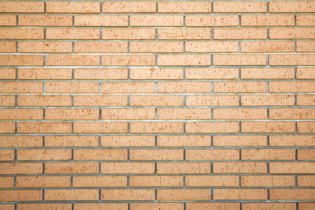 Texture of a new brick wallの写真素材