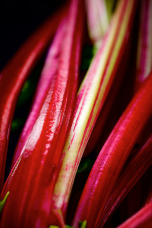 Close up of the stems of a radish plantの写真素材