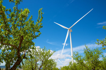 Wind turbine generators for clean electrical energy production and almond trees