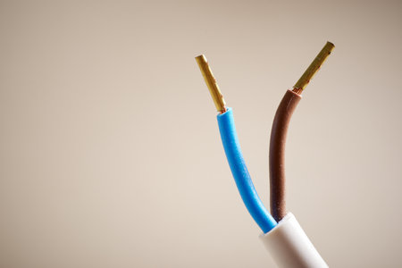 Close up of a stripped low voltage power cableの写真素材
