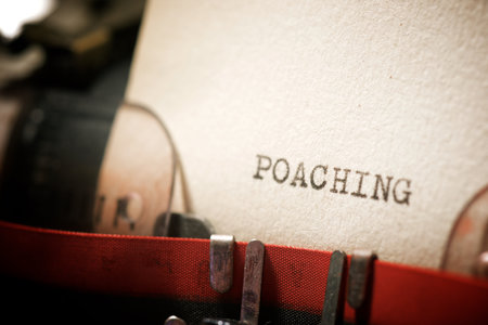 Poaching word written with a typewriter.の写真素材