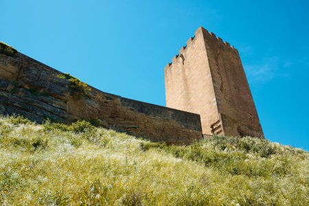 Exterior view of castle in Layana village in Zaragoza Province, Aragon in Spain