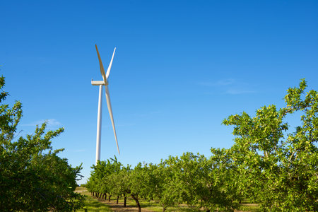 Wind turbine generator for clean electrical energy production and almond treesの写真素材