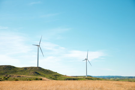 Wind turbine generators for renewable electrical energy production