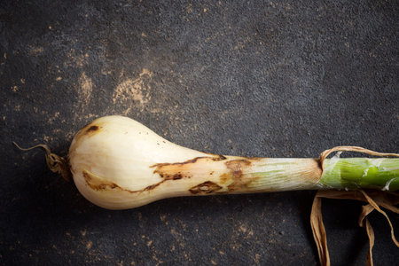 Close up of a freshly harvested onion on a black table.の写真素材