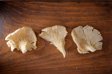 Closeup of mushrooms lined up on a wooden kitchen countertopの写真素材