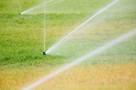 Close-up of sprinklers watering the lawn of a public park.の写真素材