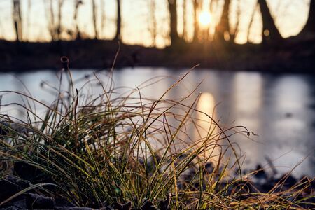 Frozen lake with meadow grass and sunrise background