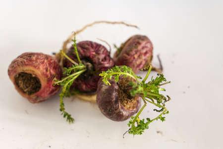 Apple. Peruvian root for vitality, energy and healty. Red Peruvian Maca on white background.