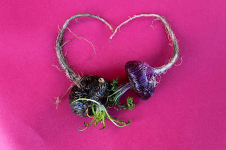 Black and Red Peruvian Maca forming a heart with the natural root. on a red background.