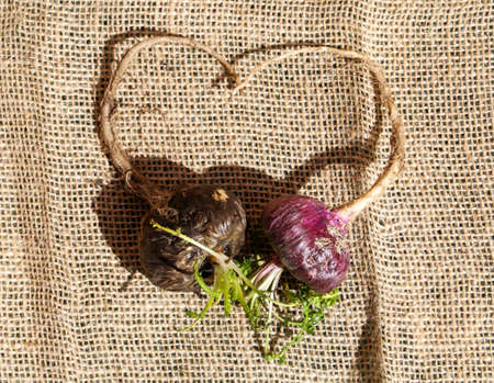 Natural black Peruvian litter on a rustic background.の写真素材