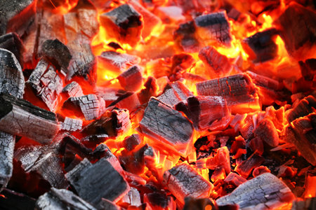 Charcoal BBQ Flame Fire Grill.