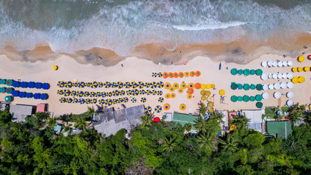Aerial view of Madeiro beach, Tibau do Sul, Natal, Rio Grande do Norte, Brazil. Sunshade top view.