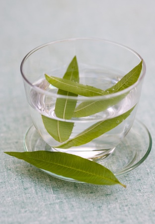 Tea leafs in transparent glass full of waterの素材 [FY31010511241]