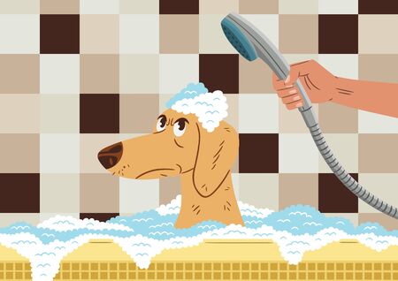 Vector illustration of a dog inside the bathtub, with an angry face, because his owner is bathing him. Cartoon style.のイラスト素材