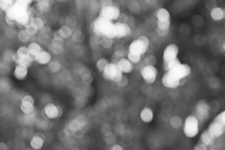 bokeh White - Black.の写真素材