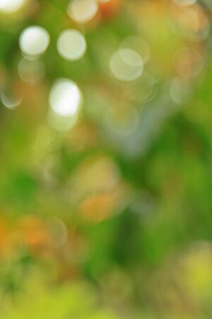 bokehの写真素材