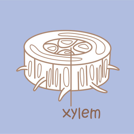 Alphabet X For Xylem Vocabulary School Lesson Cartoon Digital Stamp Outlineのイラスト素材
