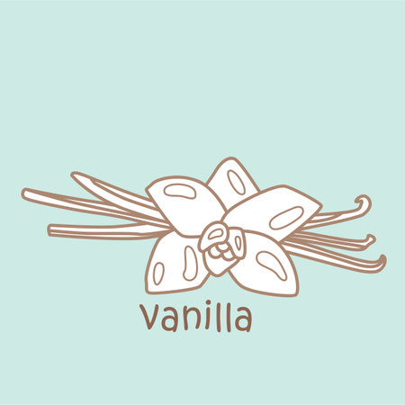 Alphabet V For Vanilla Vocabulary School Lesson Cartoon Digital Stamp Outlineのイラスト素材