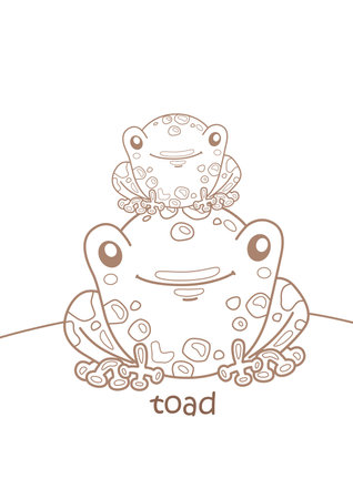 Alphabet T For Toad Vocabulary Lesson School Cartoon Coloring Activity for Kids and Adultのイラスト素材