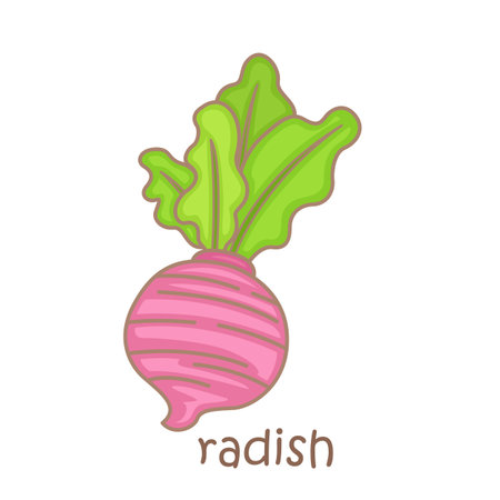 Alphabet R For Radish Vocabulary School Lesson Cartoon Illustration Vector Clipart Stickerのイラスト素材