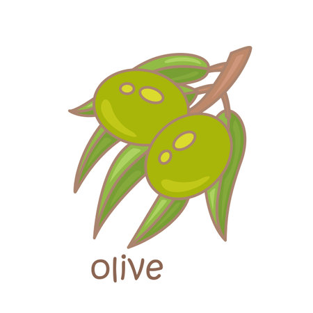 Alphabet O For Olive Vocabulary School Lesson Cartoon Illustration Vector Clipart Stickerのイラスト素材