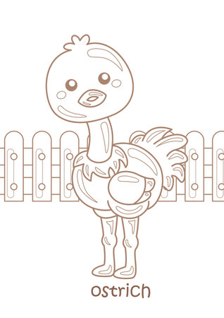 Alphabet O For Ostrich Vocabulary School Lesson Cartoon Coloring Pages Kids and Adult Activityのイラスト素材