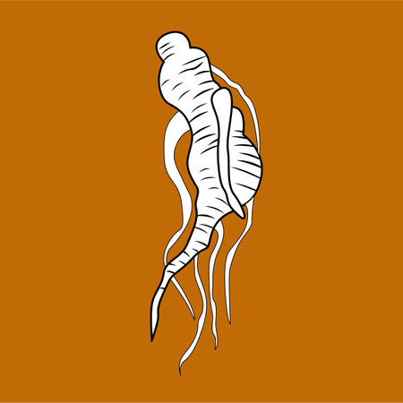 Korean Traditional Ginseng Digital Stamp Outlineのイラスト素材