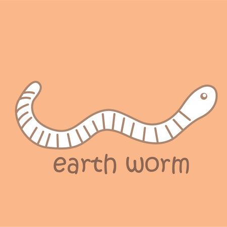 Alphabet E For Earth Worm Vocabulary School Lesson Cartoon Digital Stamp Outlineのイラスト素材
