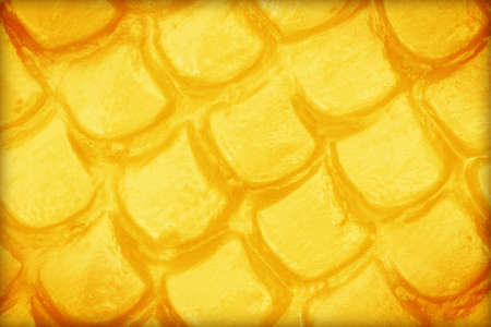 golden layer textureの写真素材