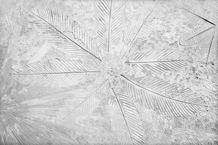 old marks of leaf on the gray concrete backgroundの写真素材
