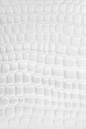 white artificial leather texture as backgroundの写真素材