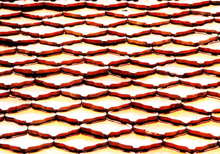 Roof tiles background