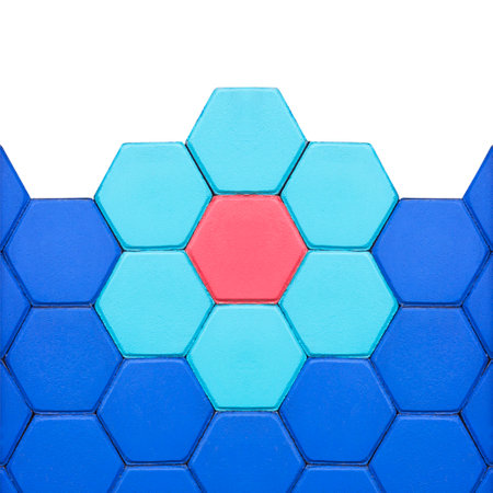 Hexagonal brick flooring