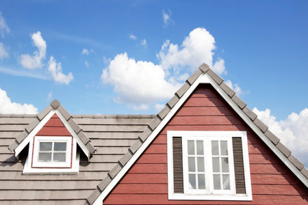 Brown tile roof in garden against blue sky.