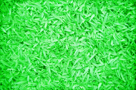 Beautiful green grass texture
