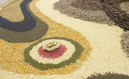 corn ,green beans, Legumes backgroundの写真素材