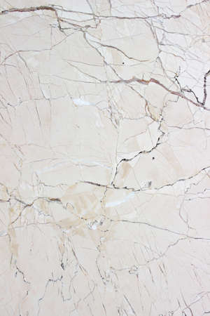 Marble texture background  floor decorative stone interior stoneの写真素材